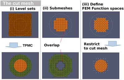 CutFEM forward modeling for EEG source analysis